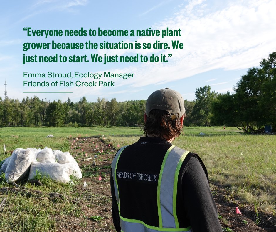 Cows and Fish | Riparian Management Society tweet media