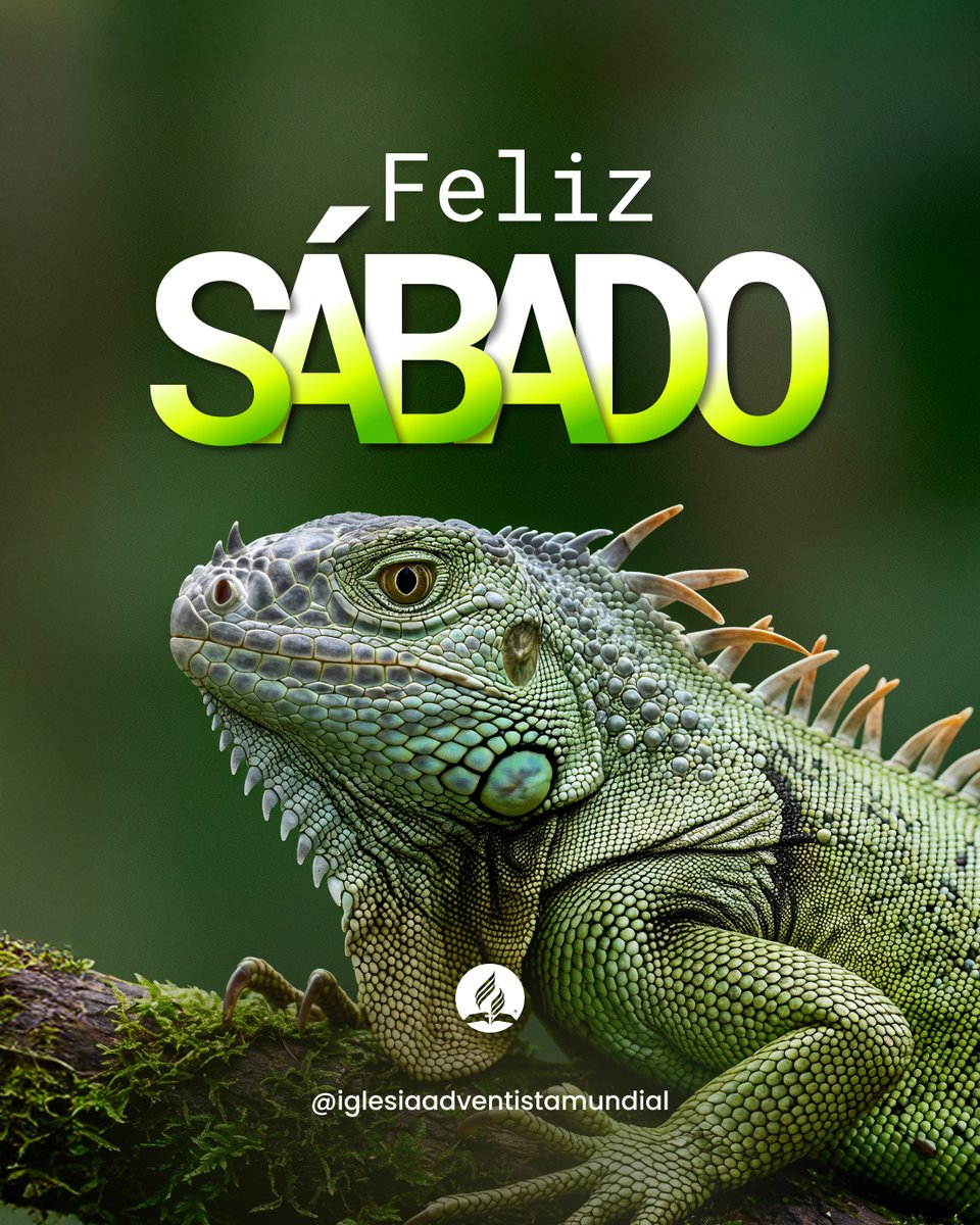 Este sábado, abre tu espíritu al reposo divino y deja que cada instante de silencio fortalezca tu vínculo con Dios.
🙏✨ Disfruta de renovación, recogimiento y un tierno encuentro con Su amor.