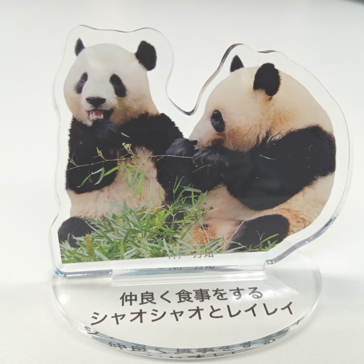 技術評論社パンダ部 (@gihyo_panda) / Posts / X