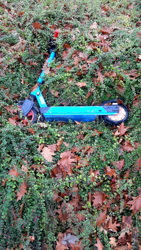 Dobranoc.
Lulaj drogi i w senną drogę, hulaj jak ulał.