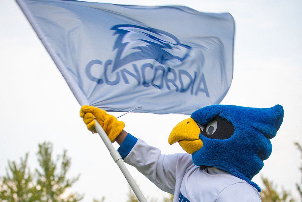 After a great conversation with <a href="/CoachNErling51/">Nicholas Erling</a> , I am blessed to receive an offer from Concordia University Wisconsin! Go falcons!