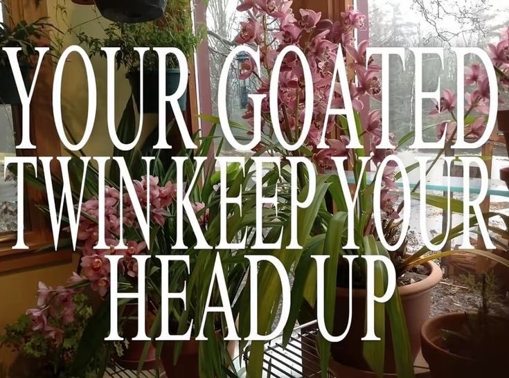 brinksbueckets's tweet image. How does pin see you ꕤ

⋆˚࿔ bedroom
⋆˚࿔ city 
⋆˚࿔ outfit 
⋆˚࿔ quote