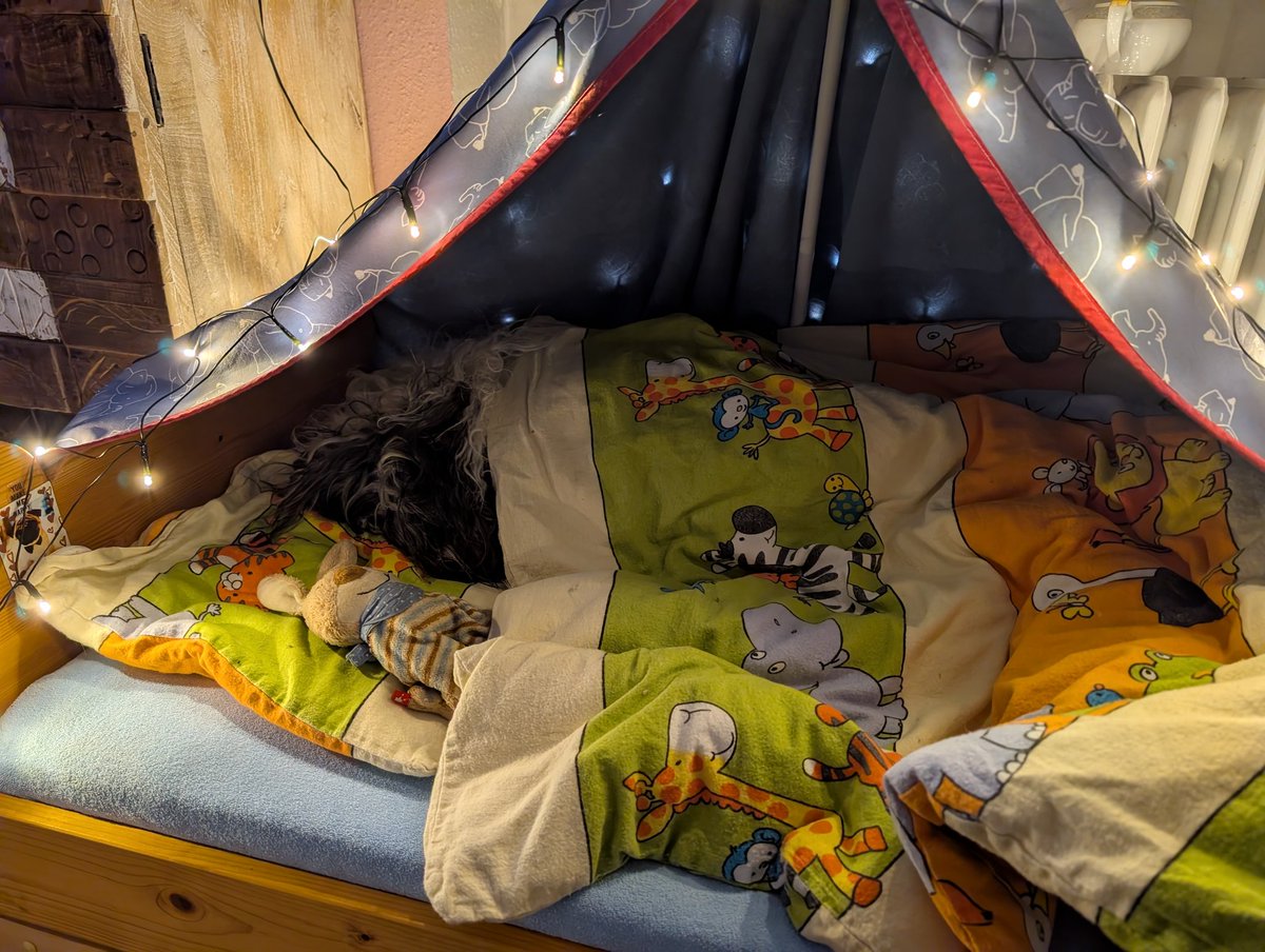 Gute Nacht ins Rudel 💤💤💤 ganz schön frisch draußen, da bleibt Hund besser gut zugedeckt