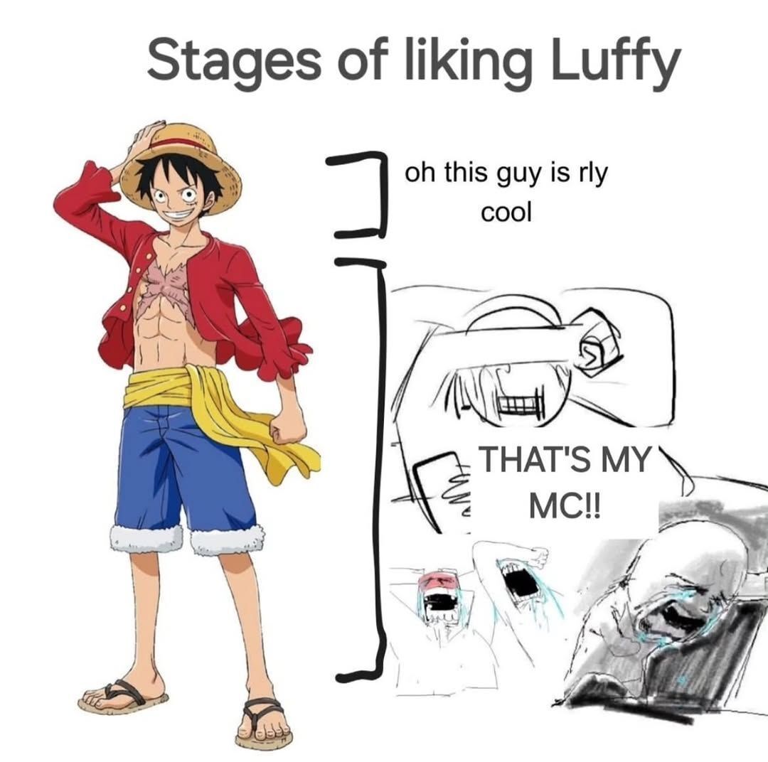 One Piece Daily (@opdaiiy) on Twitter photo 