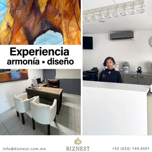 BiznestOficinas's tweet image. Más que un escritorio, una experiencia 🙌
¡Bienvenido!…
➡️ Información 📞 624 1444501 / 📧 info@biznest.com.mx
#Biznest #emprendimiento #oficinavirtual #cabo #oficina #cabosanlucasmexico #armonia
