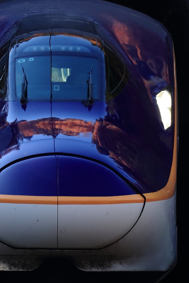 紅葉を映し出すE8系がカッコよかった