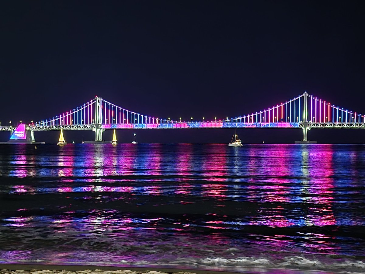 dani_bimil's tweet image. Extraño Busan, que ciudad tan hermosa. Espero volver pronto