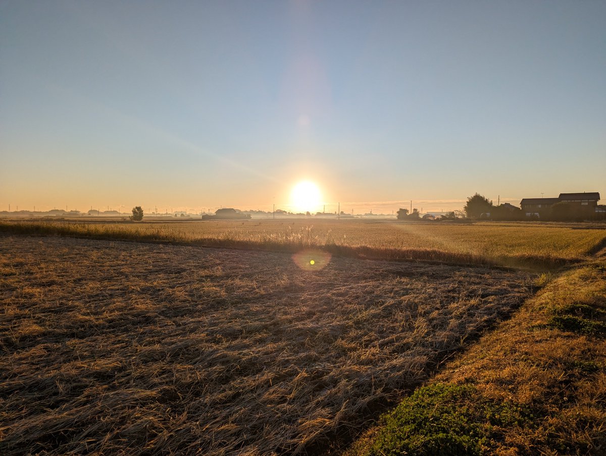 Ms_structure_DT's tweet image. 