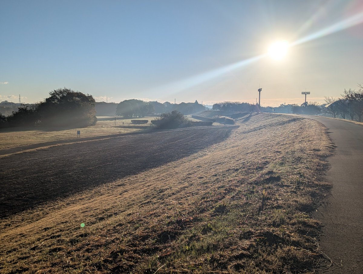 Ms_structure_DT's tweet image. 