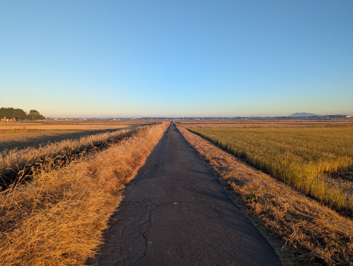 Ms_structure_DT's tweet image. 