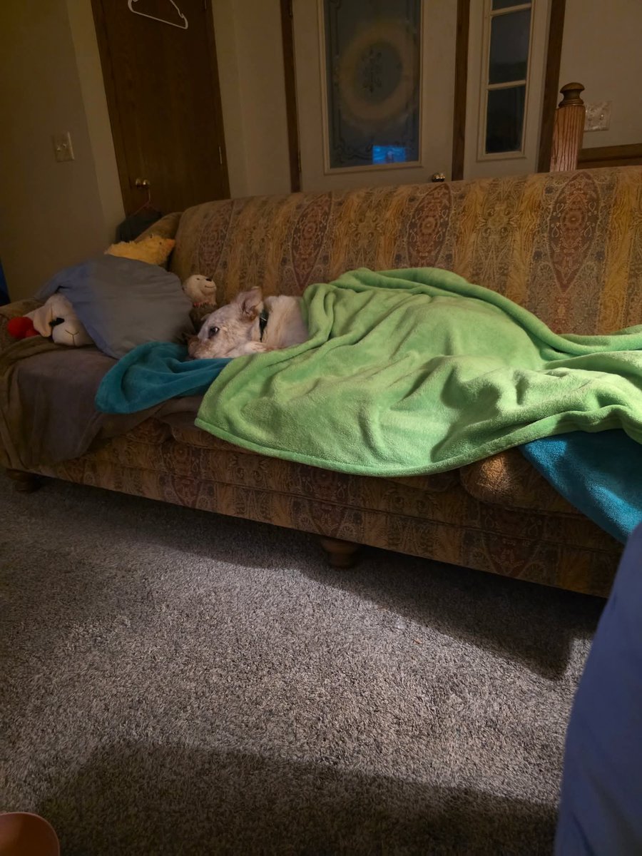 Kurt Ramirez 🇺🇸🇲🇽🇩🇪 tweet media