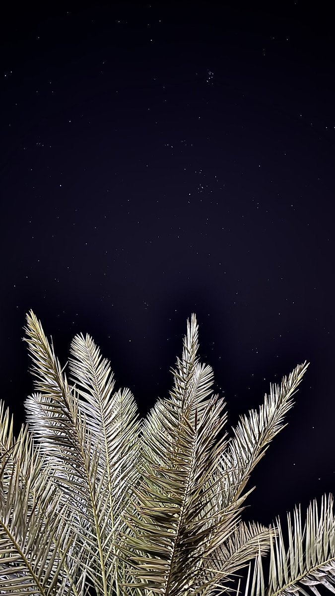 kn_11g's tweet image. منظر النجوم في غياب القمر 🤍