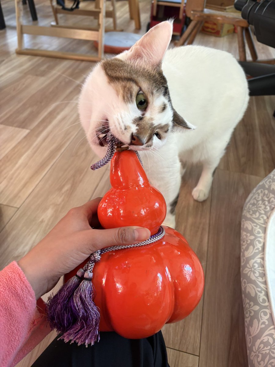 昨日上野骨董市のエフィソスさんとこで買った妙な瓢箪、おゲンにロック