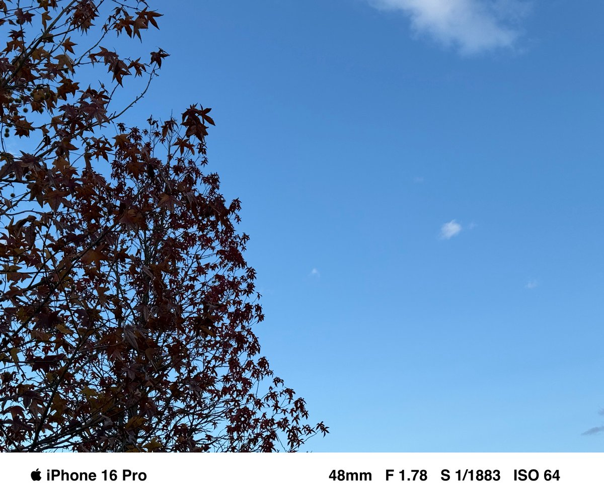 shig_szk's tweet image. 自室からの眺め
#イマソラ #空 #iPhone16Pro #sky