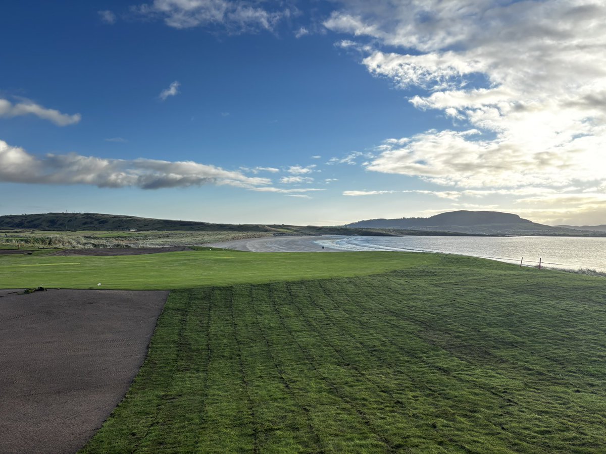 Stu Sheridan tweet media