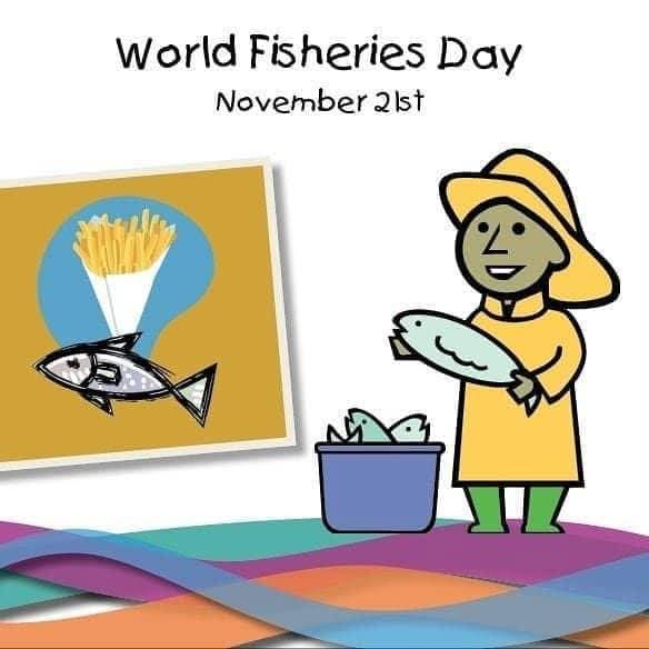 Tonbara' Kingdom tweet media