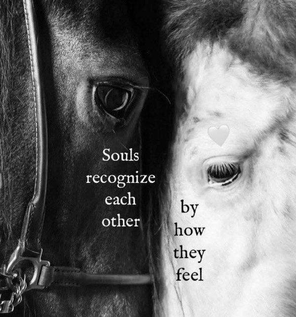 his4Everz's tweet image. 