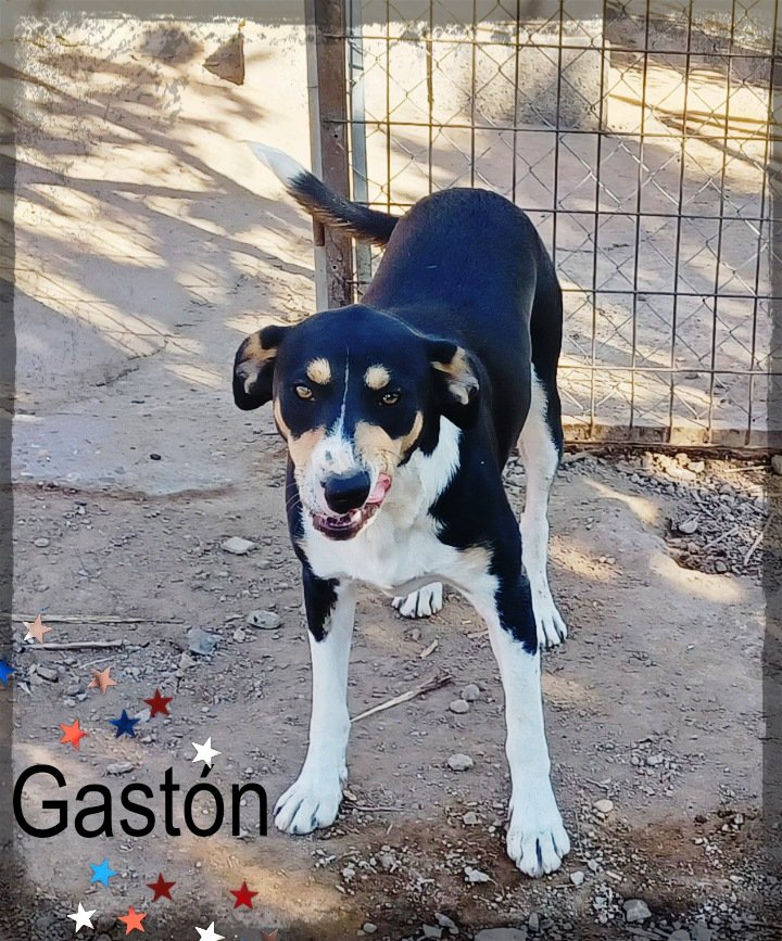 El Refugio de Brown tweet media