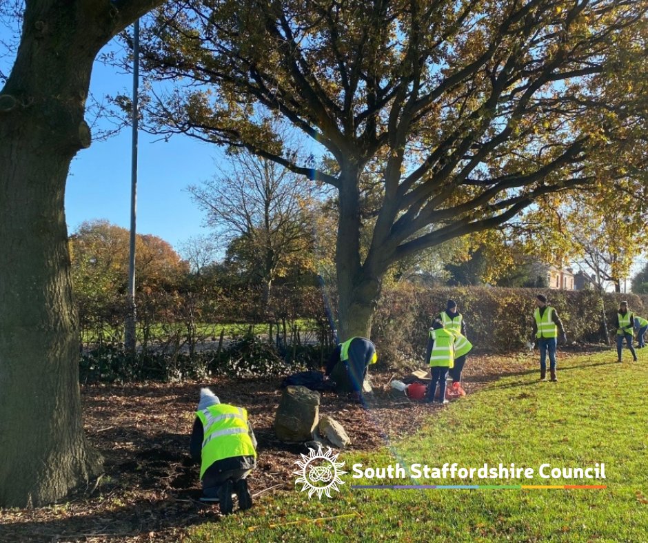 south_staffs's tweet image. 🪻 Join us TOMORROW, 12.00 - 3.00 at our Green Flag Award winning cemetery at Sytch Lane, Wombourne (WV5 0JP) for our annual bulb planting event. We’d love to see you there!

🌳 You can also take home some FREE bulbs and a FREE tree! 

#CommunityEvent #BereavementServices