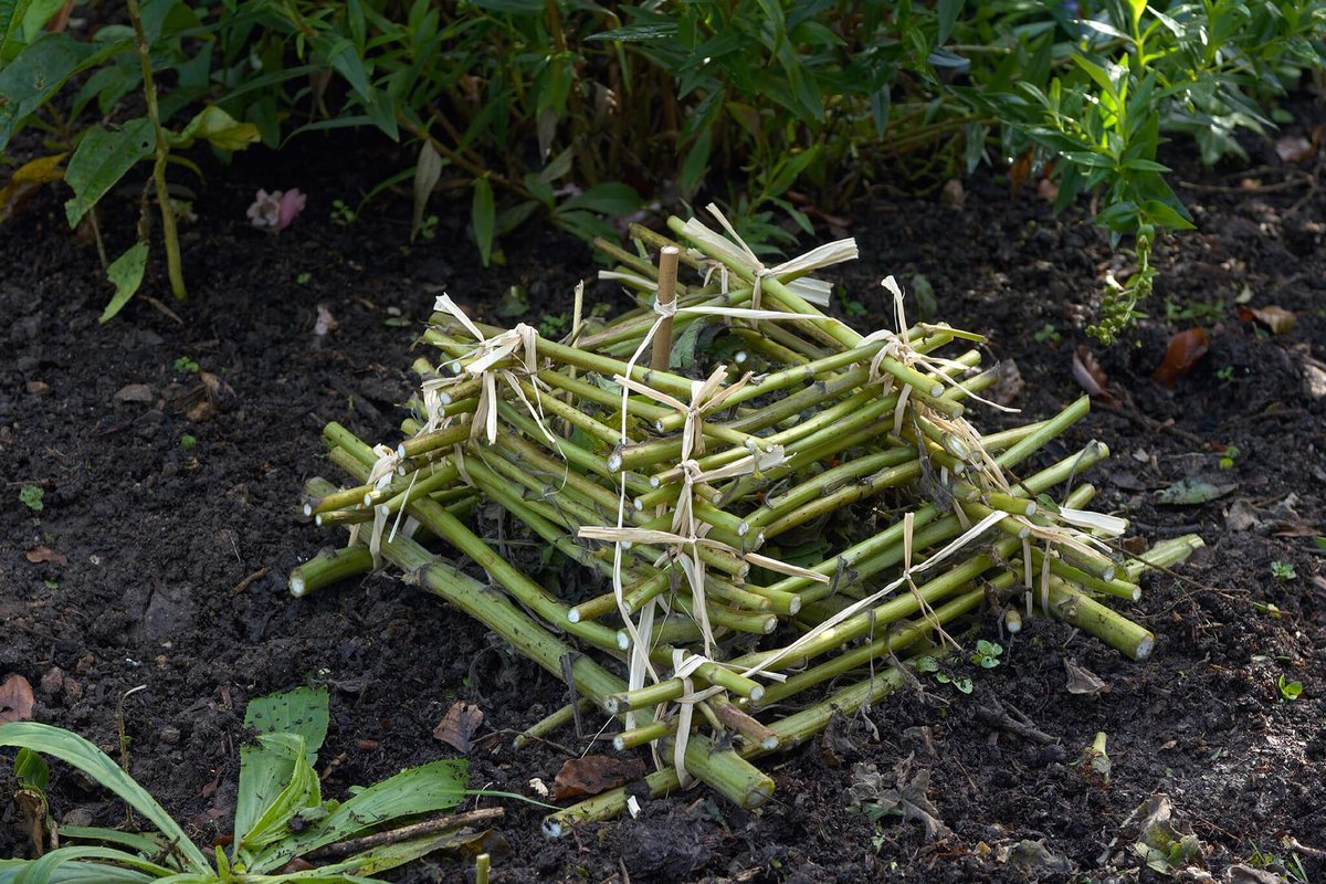 Help garden beetles survive the winter! 🪲🍂 Build a simple beetle stack and support wildlife in your garden: bit.ly/3LJHpss