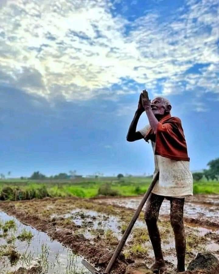 SinghUrvarshi's tweet image. जय हो अन्न दाता की 
  जय जवान जय किसान 🌾🌴