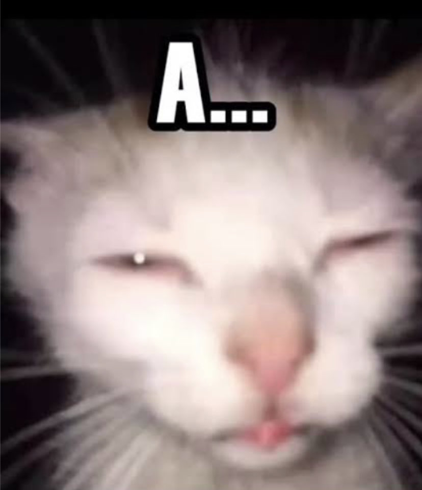 Pedro Henrique Müller tweet media