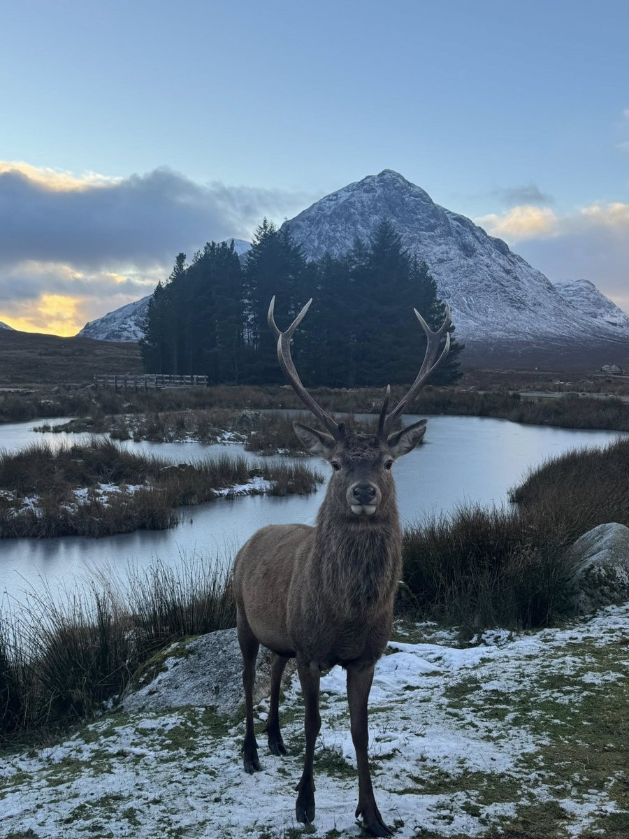 BarssFreddie's tweet image. Yesterday at Glencoe  pic c.o. David Sked  via Scotlands Scenery .🏴󠁧󠁢󠁳󠁣󠁴󠁿🏴󠁧󠁢󠁳󠁣󠁴󠁿