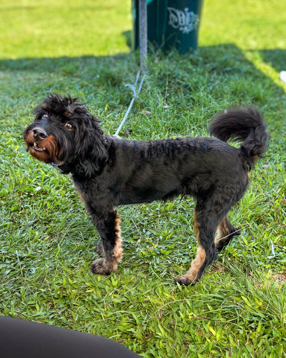 First Insurance HI tweet media