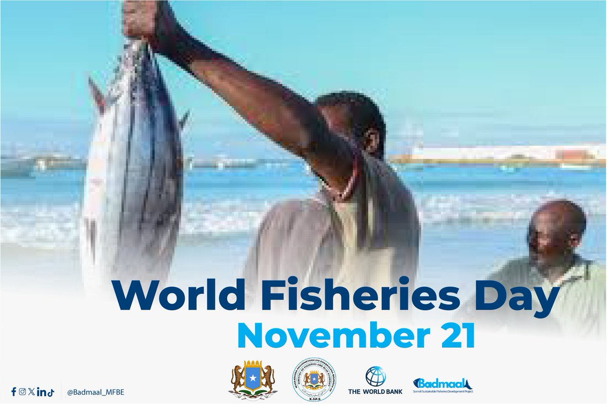 Badmaal_MFBE's tweet image. .@Badmaal_MFBE proudly joins the global community in commemorating World Fisheries Day. Building on the progress and optimism achieved to date, we are intensifying our efforts to strengthen Somalia’s fisheries sector through enhanced governance, improved fisheries production, ...