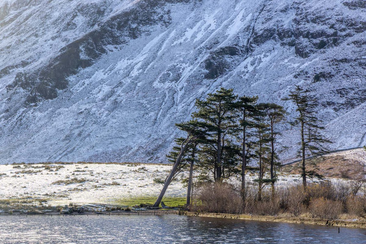 andrewswalks's tweet image. Today&apos;s walk to Crummock Water