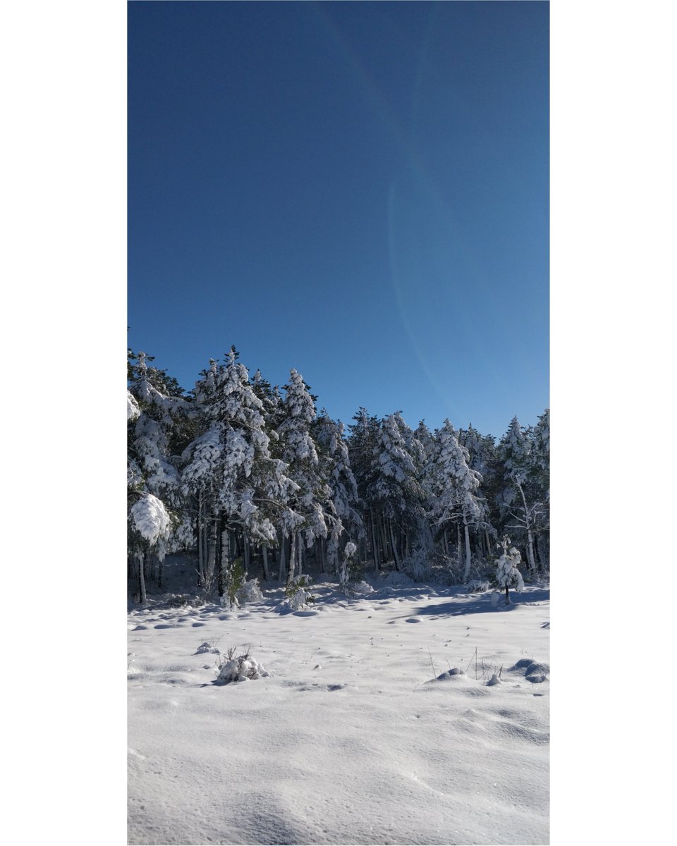 EnnaSwan's tweet photo. Nieve de nata https://t.co/mZrdnTHZEw