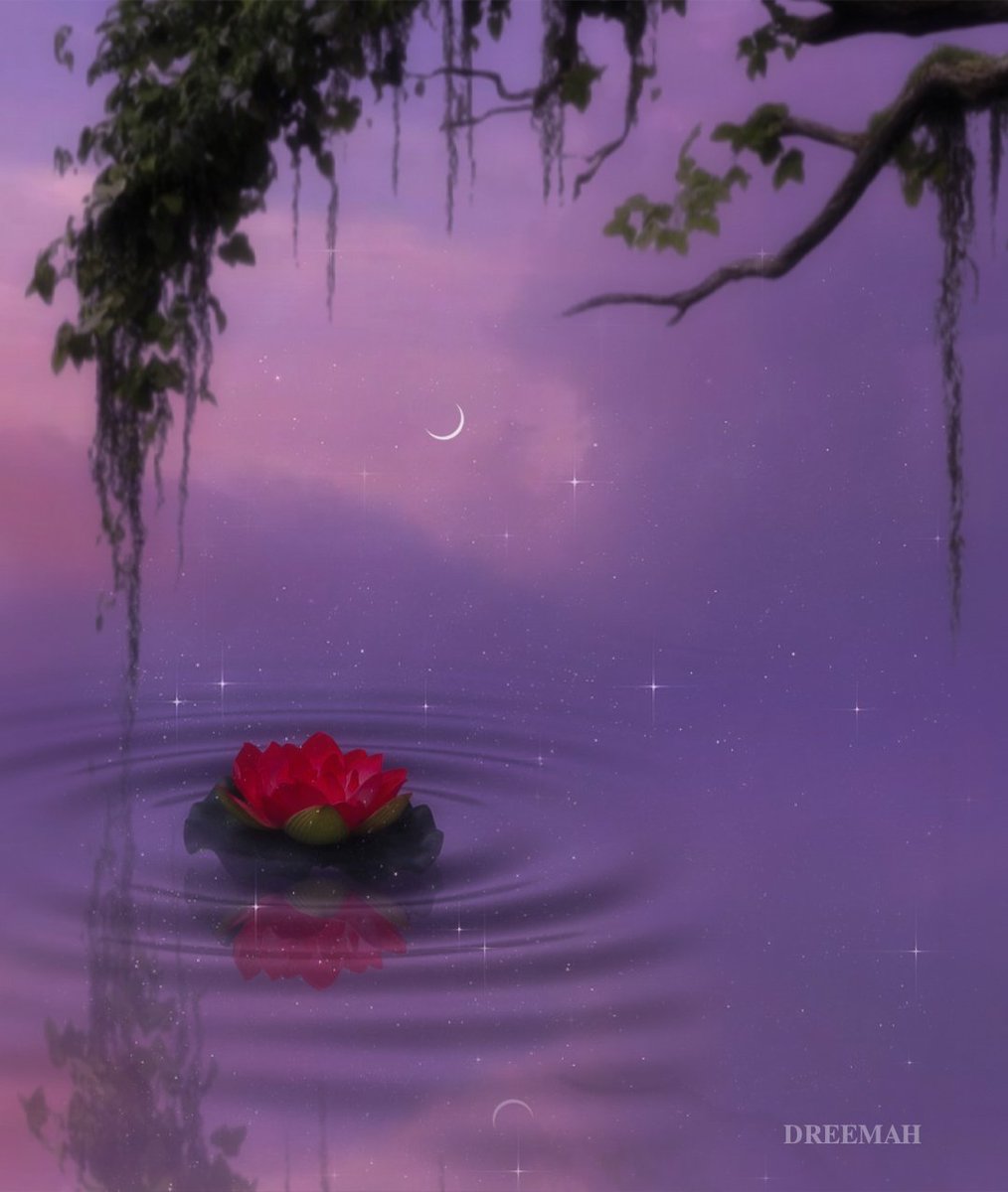 EPISODE 81: PEACE BE STILL 🩷🪷✨

My loves,which song will you play here? 
For me, I'll play Love Between by Kali Uchis🥰💖