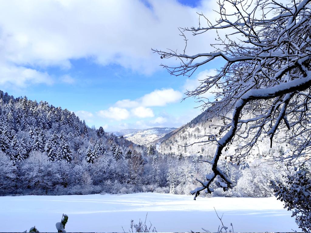 EdithPY2's tweet image. On dira ce qu&apos;on voudra, l&apos;association neige-ciel bleu-soleil, c&apos;est tout de même merveilleux... @Visit_LaBresse