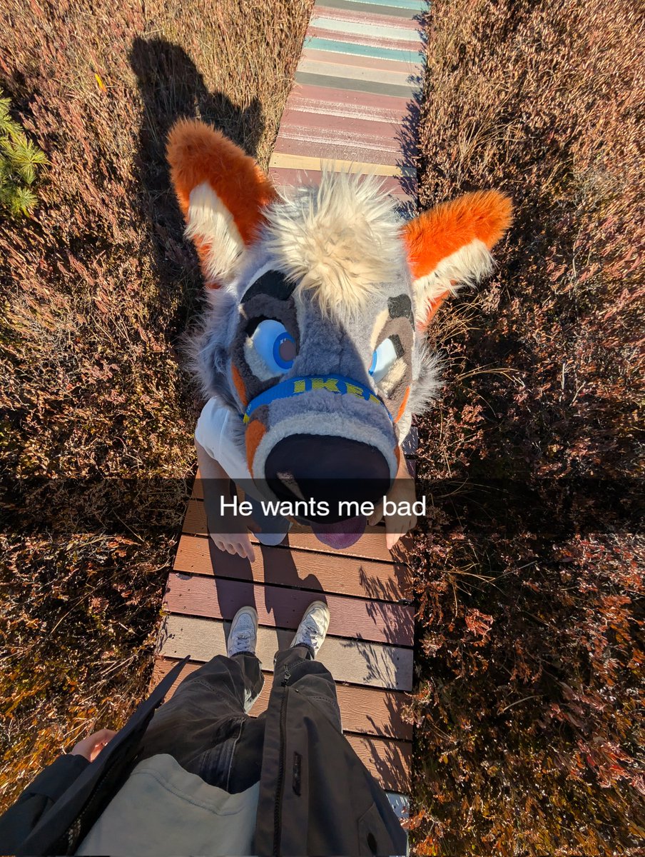 PartDoggo's tweet image. 🤭