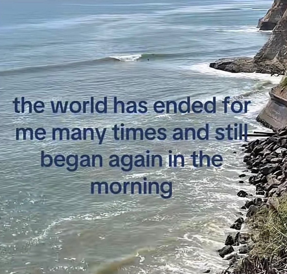 northstardoll's tweet image. 