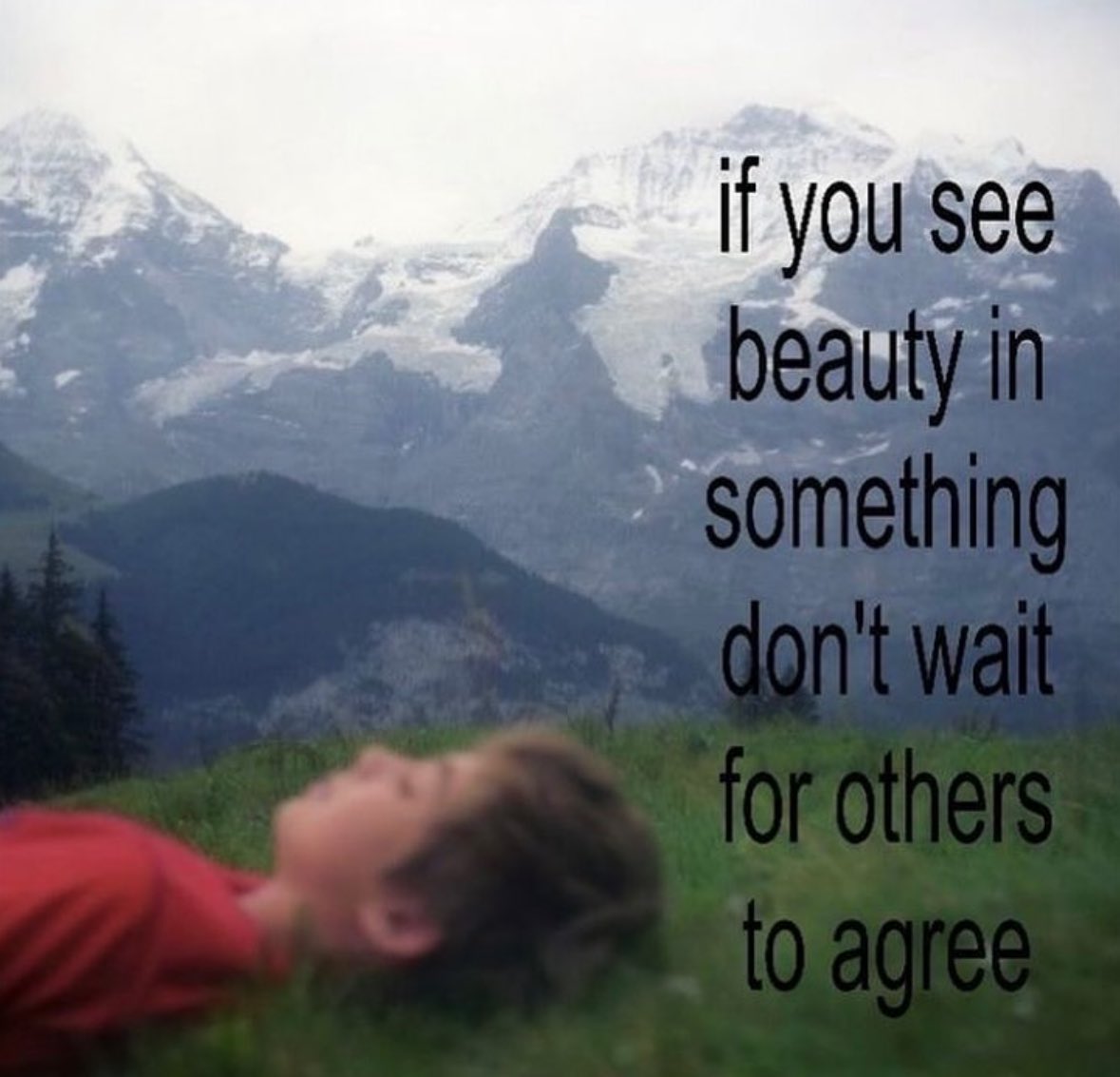 northstardoll's tweet image. 