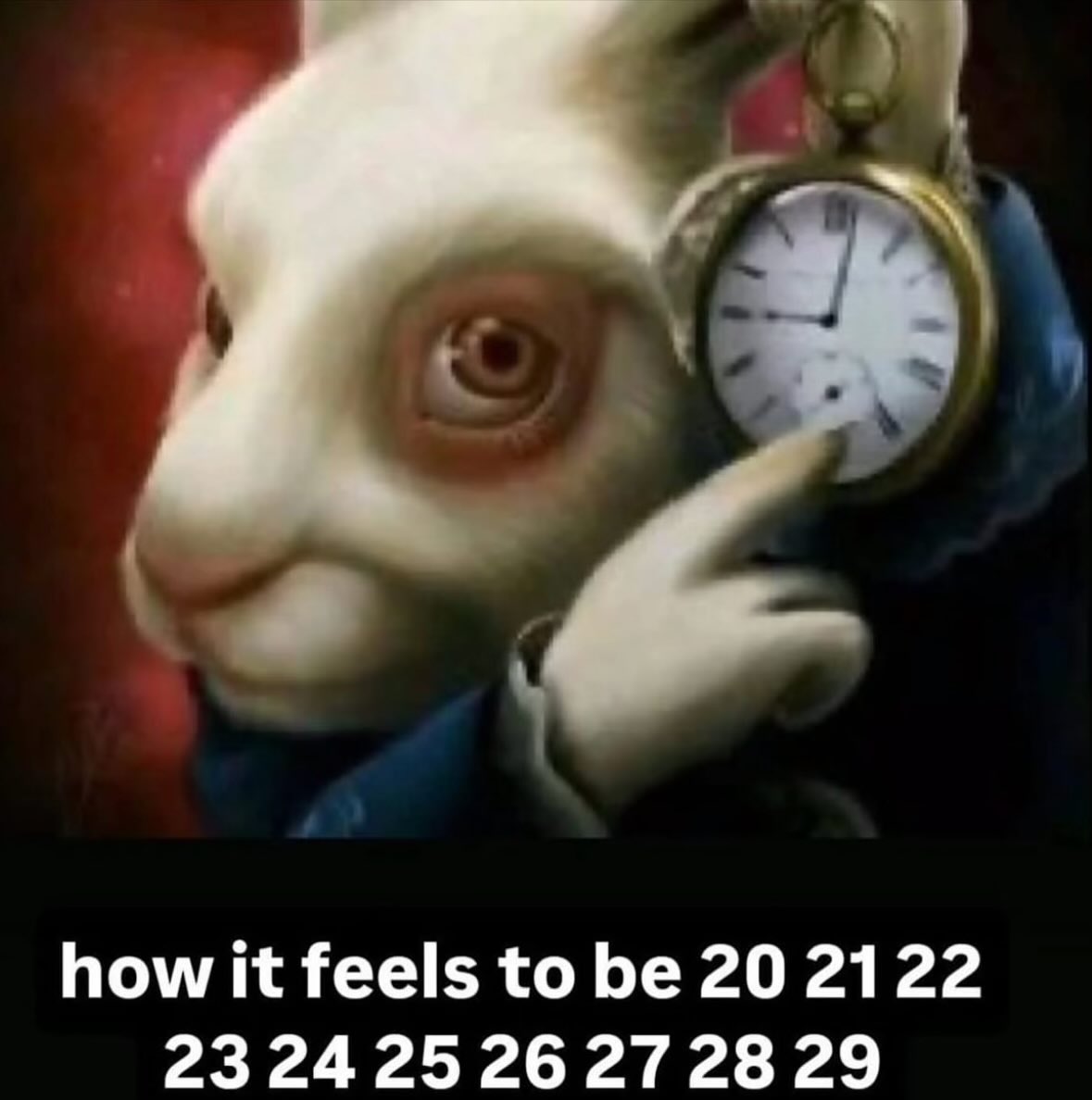 northstardoll's tweet image. 