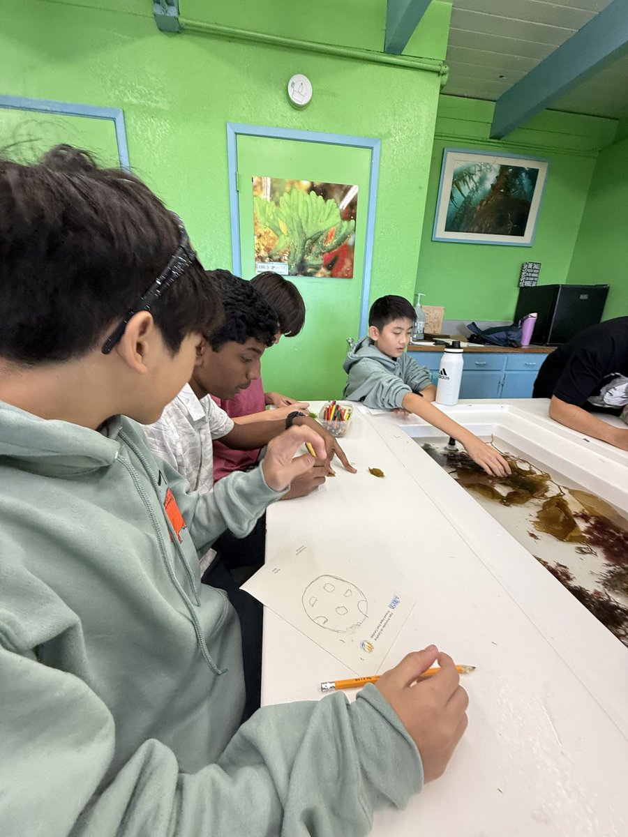 Breakfast- the most important meal of the day!

Kidding, it's just science...