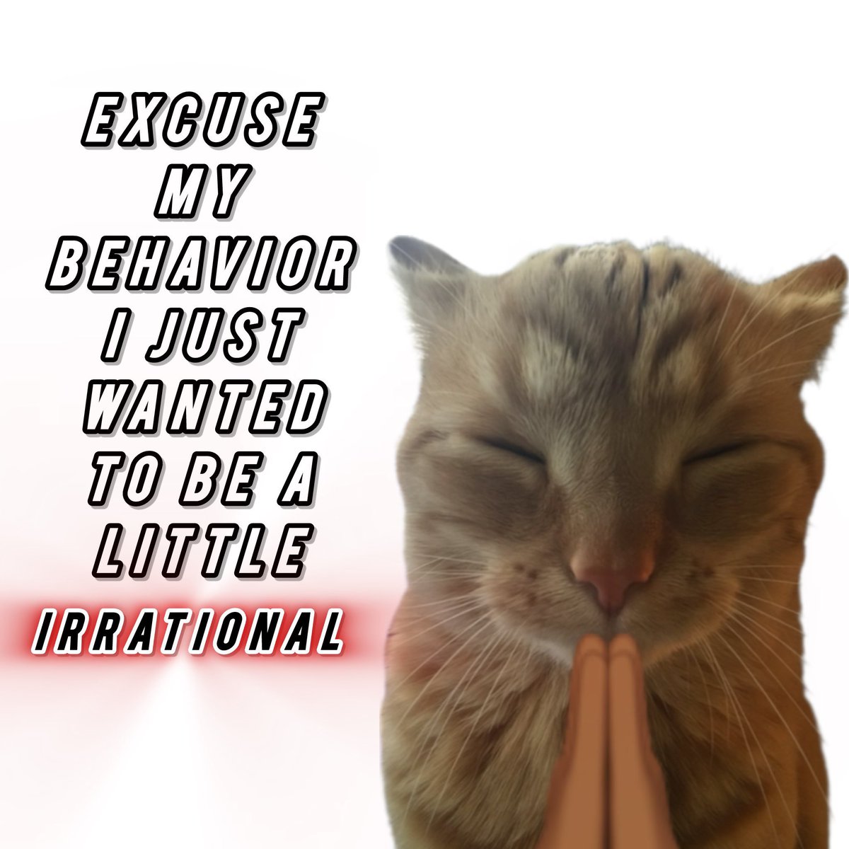 GaK (@gakstercat) on Twitter photo 