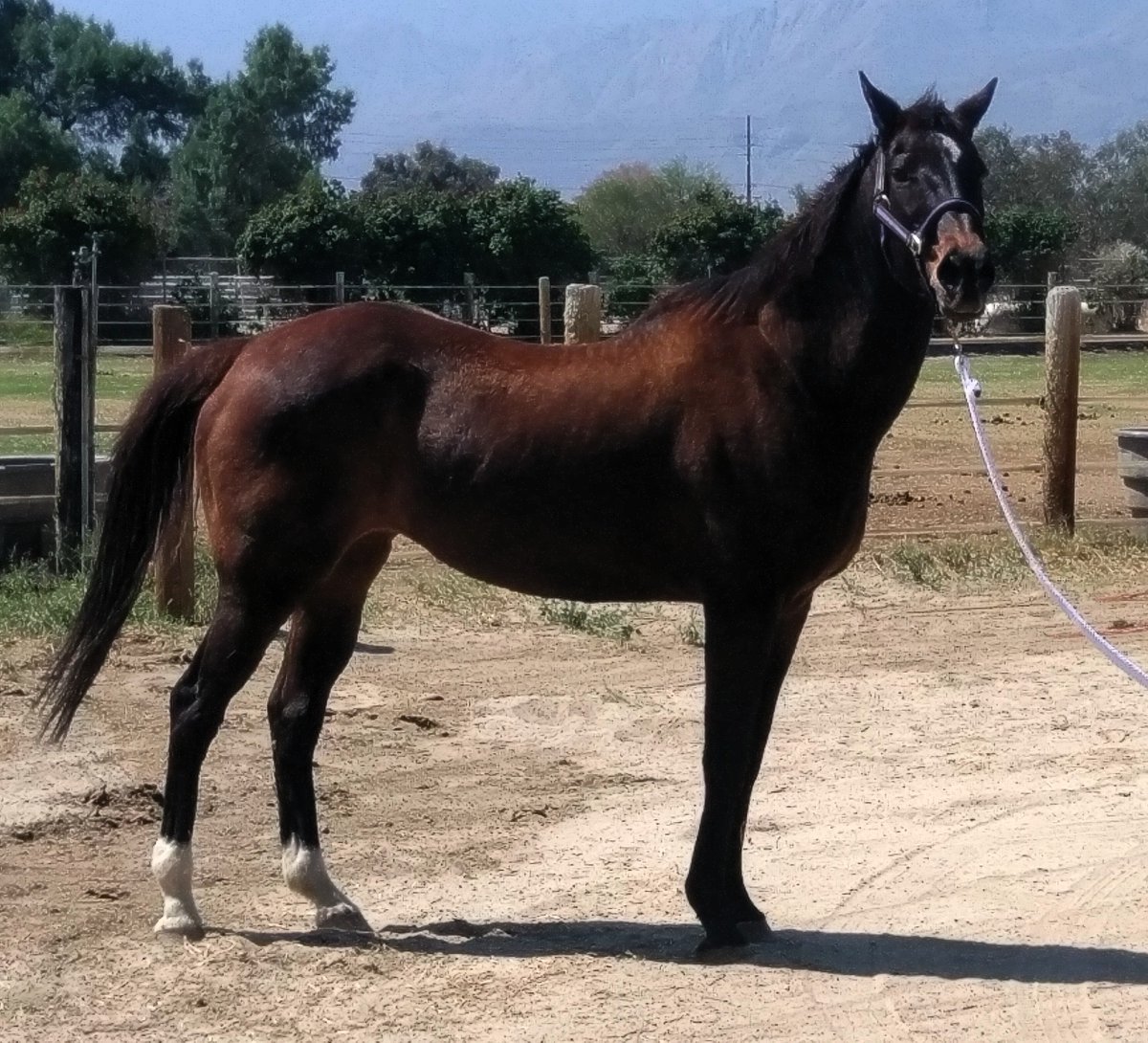 GloriousAllianc's tweet image. Me at 23 years old. I was still built like a #brickhouse... @Trackmoms @MTPSU1987