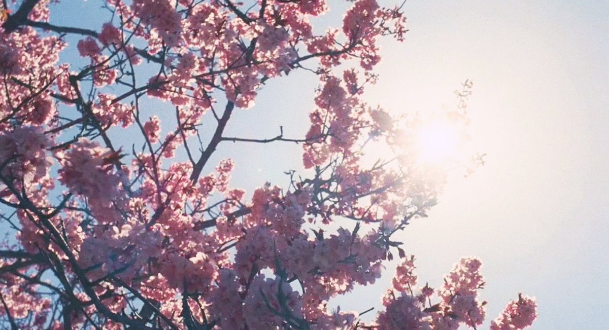 lucrezia's tweet image. 