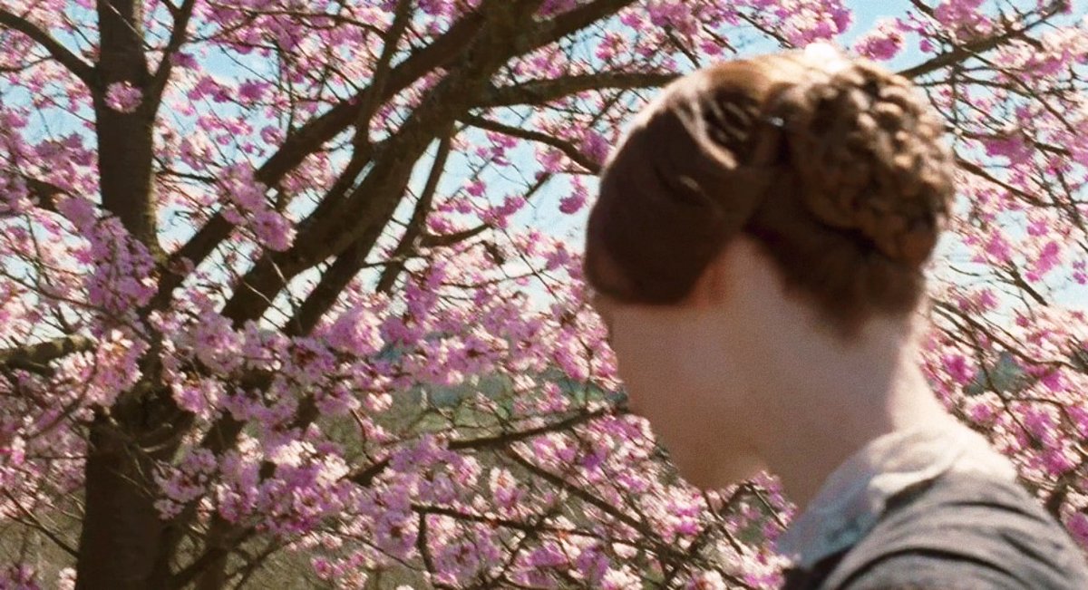 lucrezia's tweet image. 