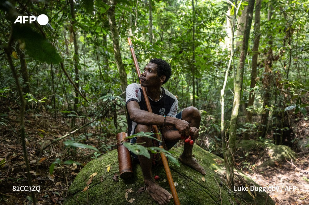 AFP's tweet image. Deep in a Thai forest a young man sprints through the undergrowth, blowpipe in hand, before pumping a poisoned dart at a monkey.
u.afp.com/Sh3U