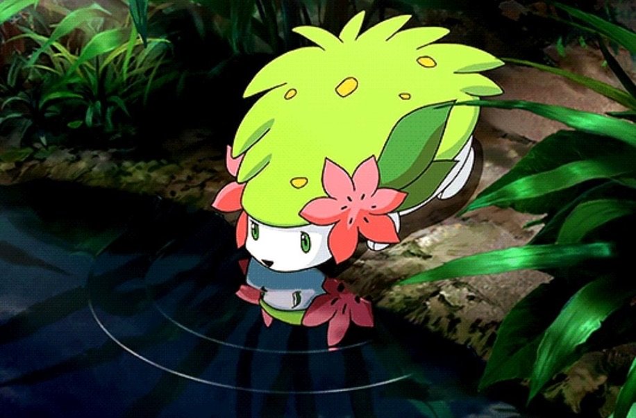 OoCPokemon's tweet image. *smol sips*