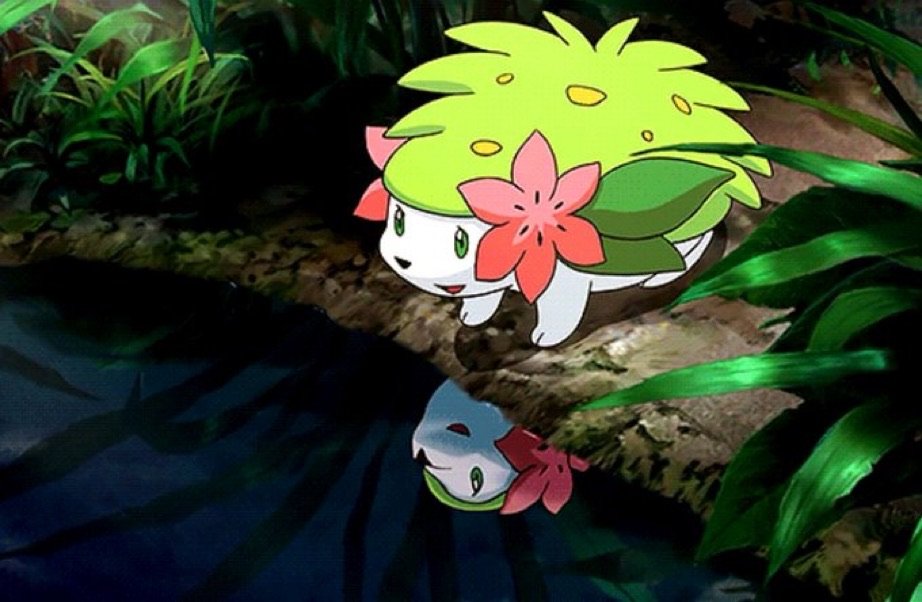 OoCPokemon's tweet image. *smol sips*