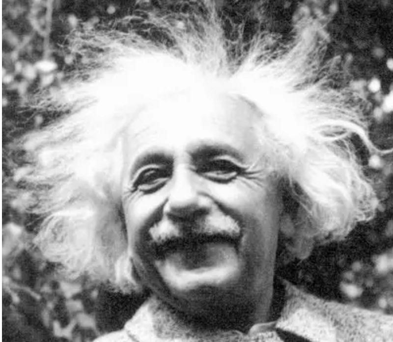 afra wang tweet media