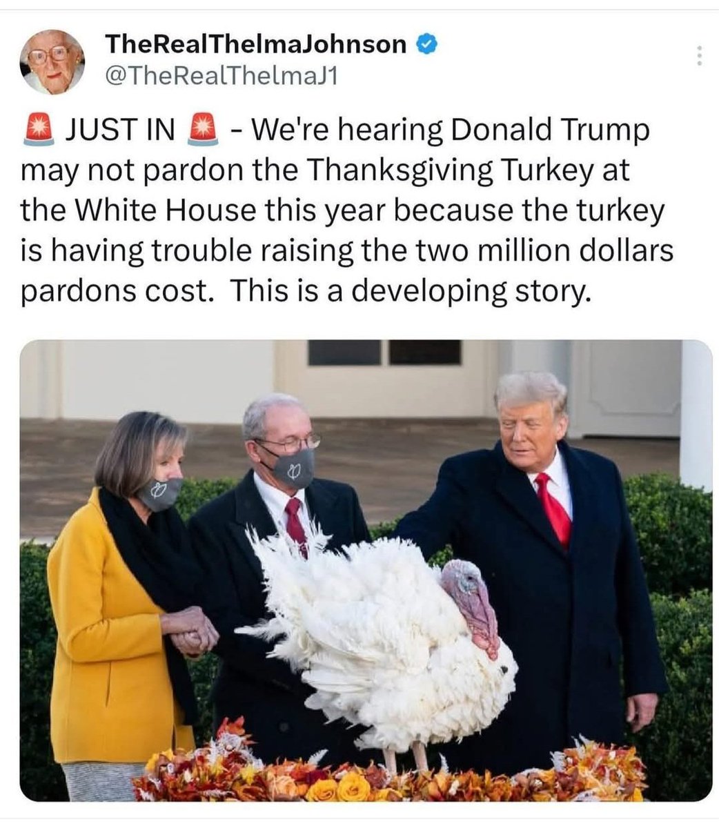 Box_Box_Box_Now's tweet image. 🤔 🦃....