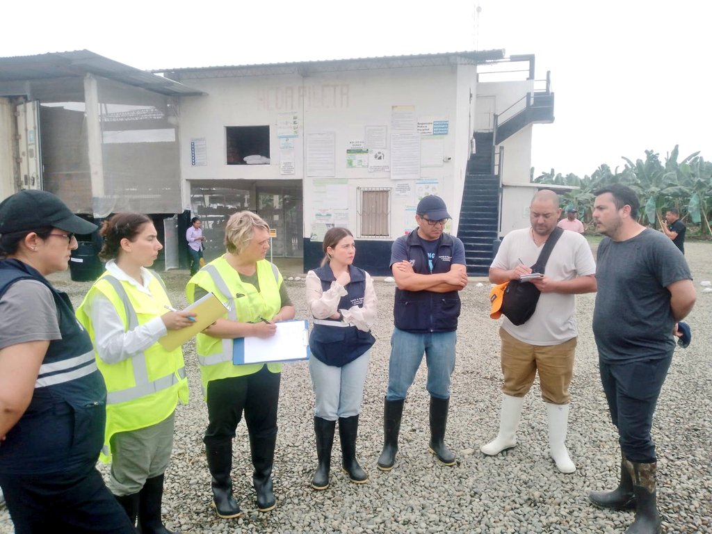 #Guayas | 🇪🇨🔍 Concluimos la reunión de cierre de la auditoría técnica realizada por la ONPF de Nueva Zelanda (MPI), tras la visita a sitios de producción y certificación de plátano (Manabí), piña (Santo Domingo), y mango y banano (Guayas).