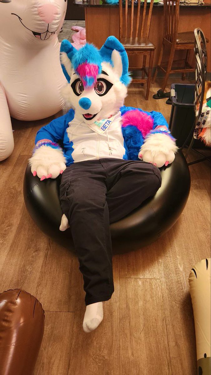 Beta_The_Husky's tweet image. Just relaxing today in this comfy tube made by @PhenodToy 
#fursuitfriday
📸 @Tailsdale1 
🪡 Furry Frost