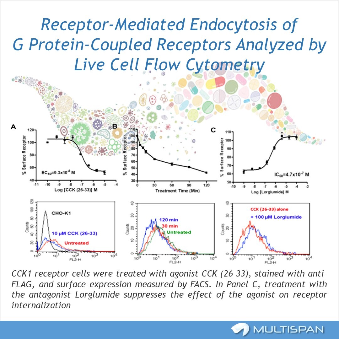 MultispanGPCR's tweet image. 🔬 Many GPCRs internalize via clathrin and beta arrestin, shaping receptor availability and ligand effects. Traditional signaling assays often miss these trafficking events.
 
👉 Read more: na2.hubs.ly/H0294fH0 
 
#GPCR #DrugDiscovery #FlowCytometry #Multispan